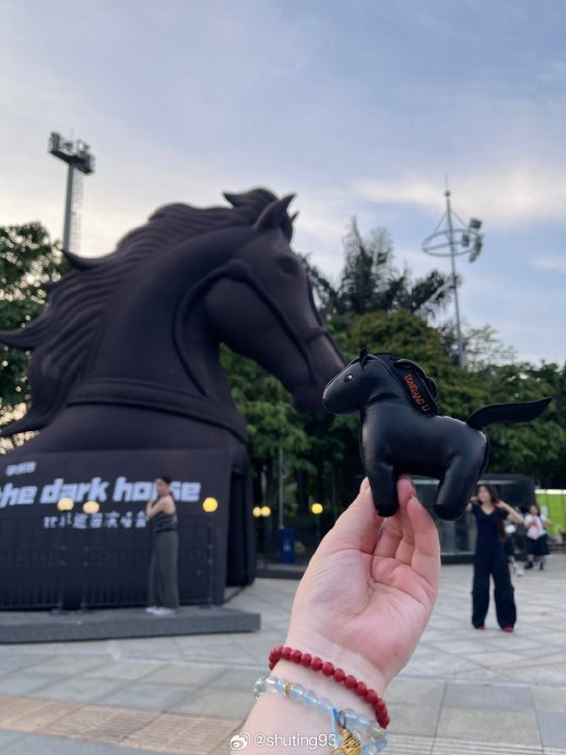 除了这次南宁演唱会，李荣浩之前在其他巡演现场还有哪些经典的宠粉互动？