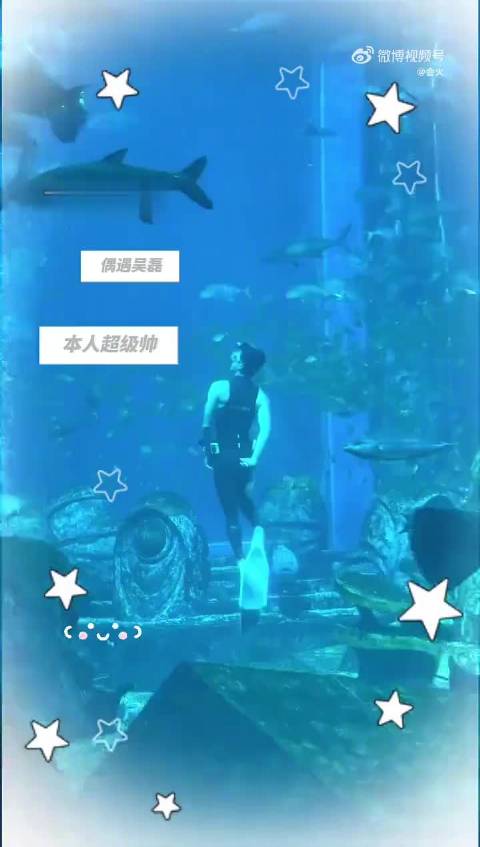 水族馆美男鱼真身曝光，吴磊水中展灵动身姿