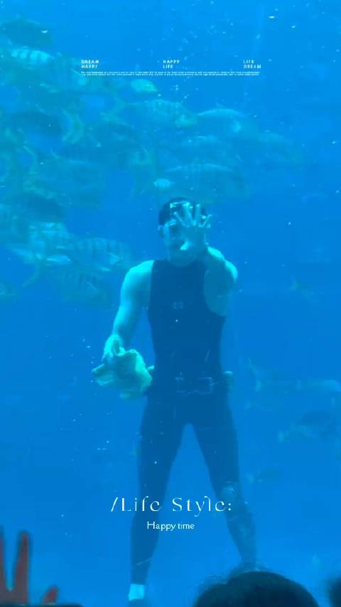 吴磊现身水族馆扮演男美人鱼引热议