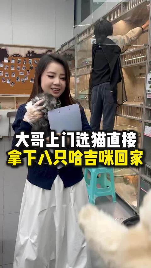 大哥太豪横了，家里面小狗都要安排一只猫