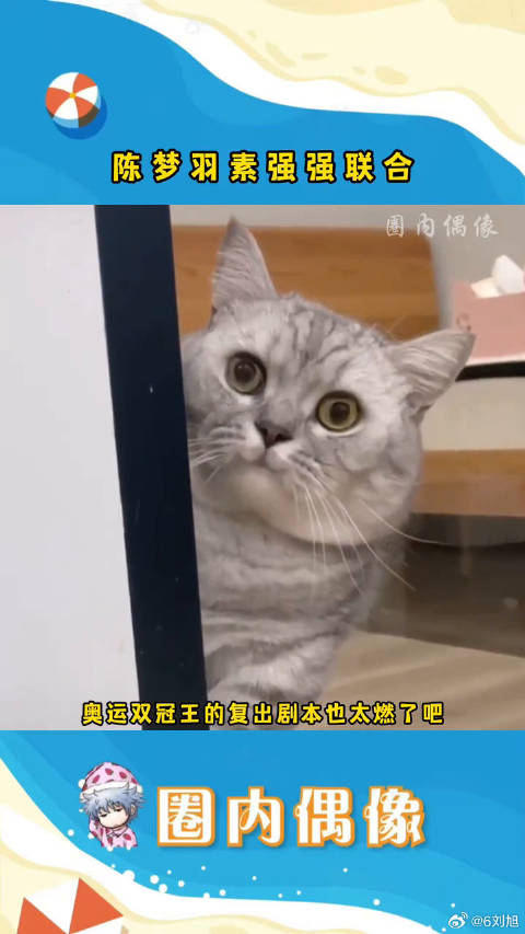 奥运冠军认证的冠军国货品牌，这波真的是强强联合了！ 陈梦 微博VC计划