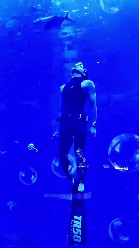 吴磊三亚水族馆变身男美人鱼，无氧潜水与观众互动