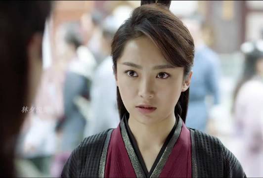 庆余年：范闲拜访宰相府邸，结识大公子林大宝 . 主演：张若昀x李纯x陈道明
