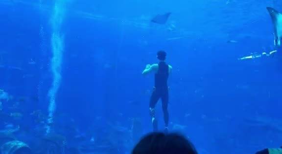 吴磊水族馆变身男美人鱼为节目潜水