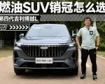 博越L凭啥是燃油SUV销冠？哪个版本最值得买？| 智能车指南
