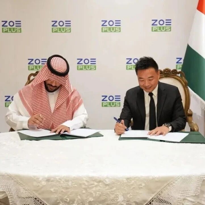 中国储能企业将参建沙特首个世界级电池储能制造基地！