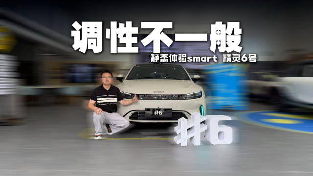 质感和豪华调性明显优于同级，静态体验smart 精灵6号