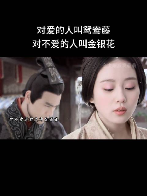 金银花回应网友误伤，强调名称由来