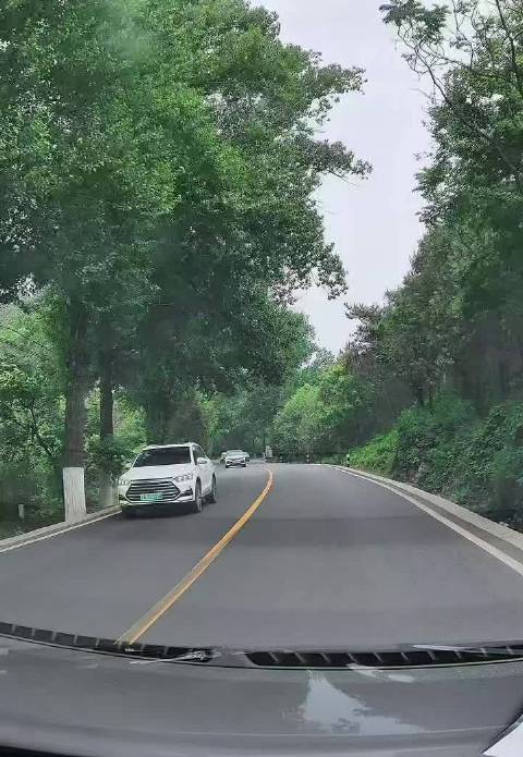 山路弯道惊险一刻，比亚迪秦岚图梦想家险相撞