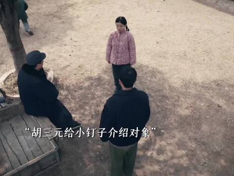胡三元为小钉子牵线张嘉益刘浩存秦海璐王丽坤助力姻缘
