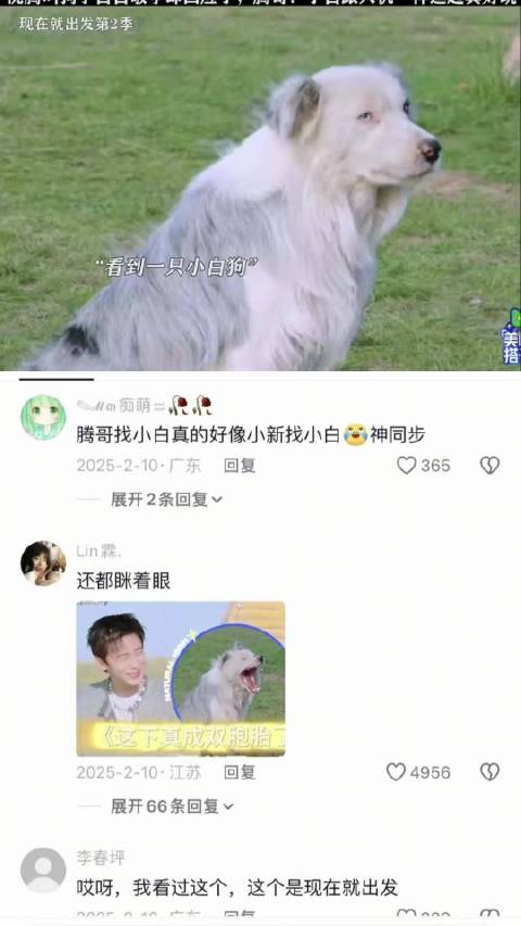 沈腾喊狗小白白敬亭秒回应，神同步表情引爆笑