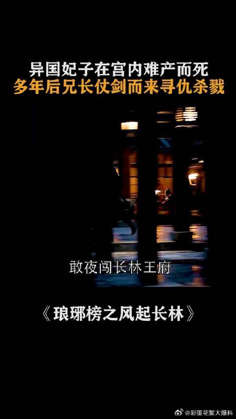 妹妹在异国王宫内难产去世，多年后兄长成为第一高手，仗剑而来寻仇杀戮