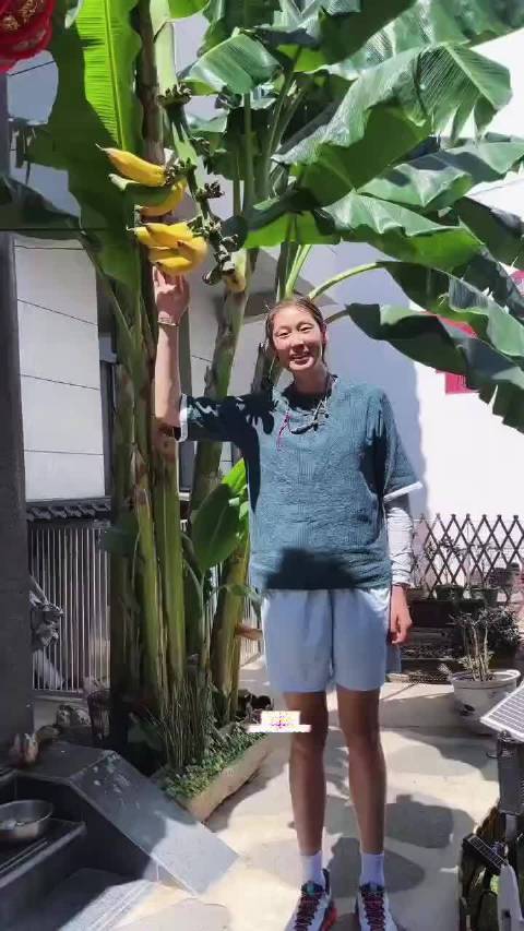 朱婷、姚迪在云南度假 开心享受假期