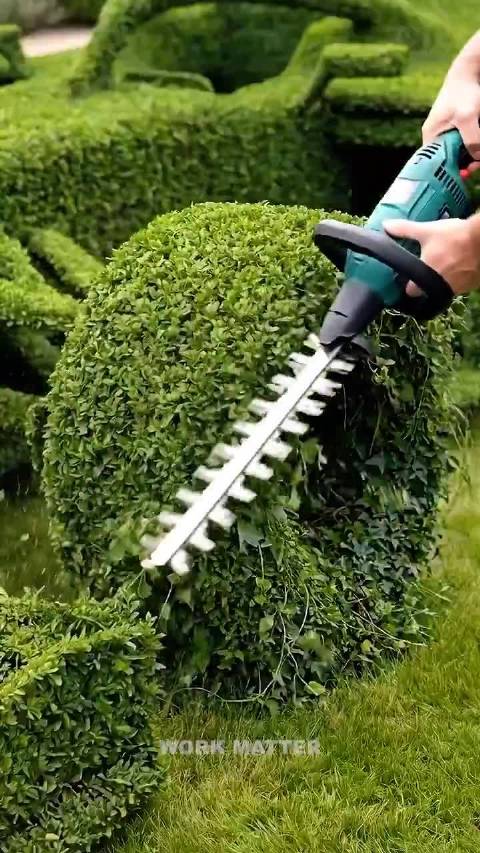 F1粉丝用绿植修剪出赛车，细节拉满
