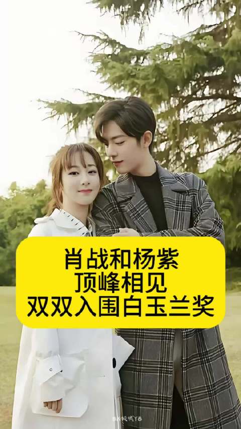 肖战和杨紫顶峰相见，双双入围白玉兰奖