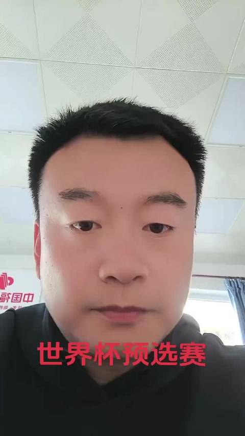聊聊世界杯预选赛哈兰德