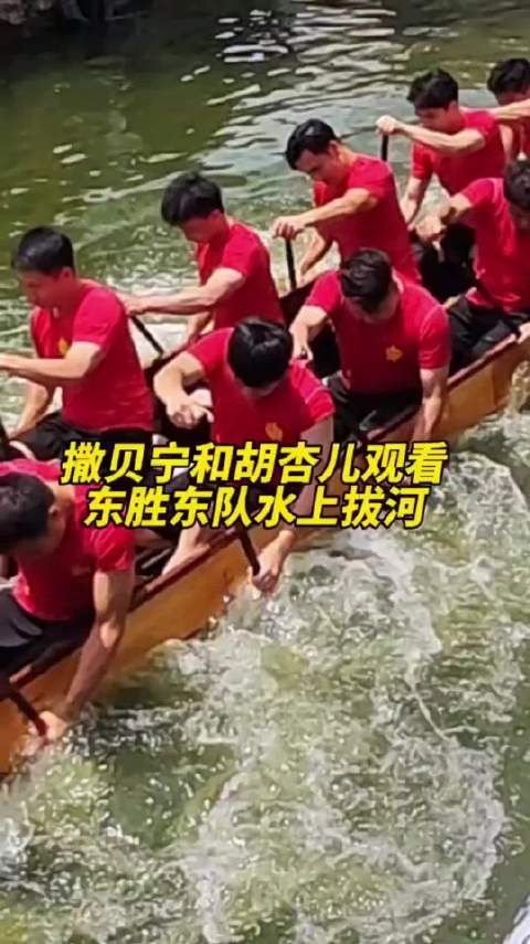 撒贝宁调侃叠滘小伙神似樊振东称其主业赛龙舟副业乒乓