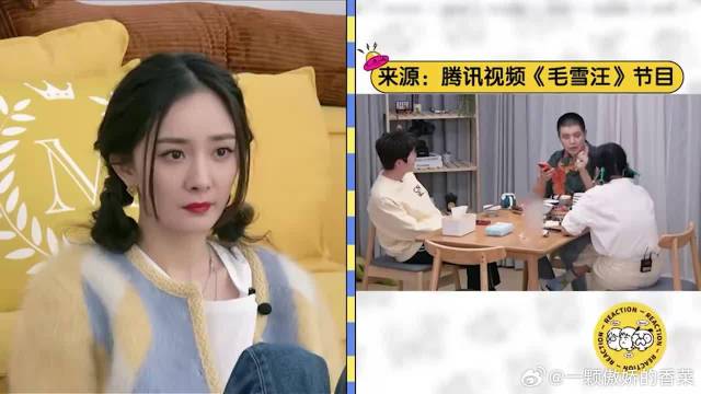 杨幂马頔关系有多亲密！天天微信消息不断，一口一个姐姐好暧昧