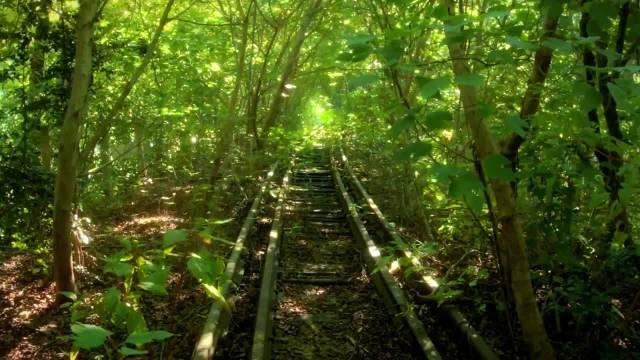 清新水果
