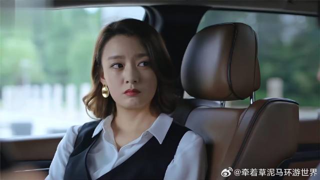 女强人怀孕，打算自己养孩子，男友直接去民政局领证