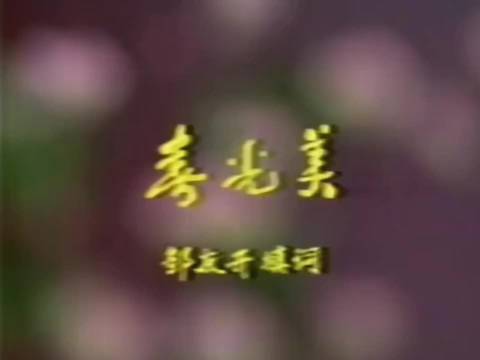许丽丽、田震早期演出影像 1988年春歌组曲 怀旧老歌