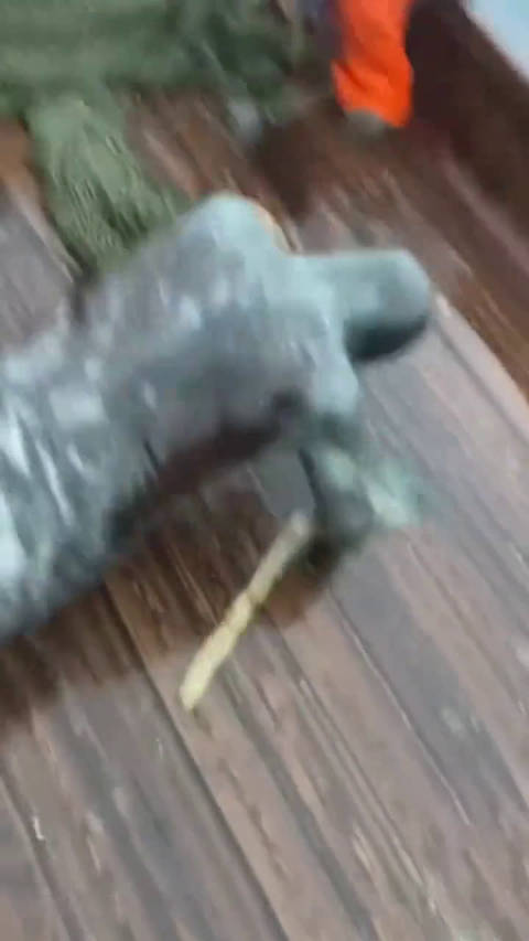 在深海捕捉的鲛人，这是你心目中美人鱼的样子吗