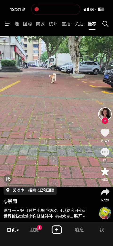 仔仔，我想你了