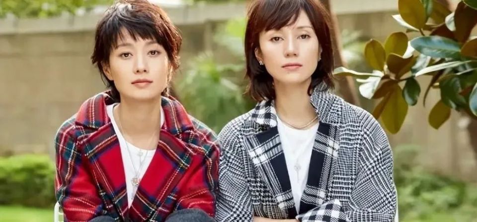 给《玫瑰的故事》中“5朵金花”排名：朱珠排第3，陈瑶第4
