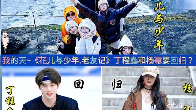 我的天~《花儿与少年.老友记》丁程鑫和杨幂要回归？