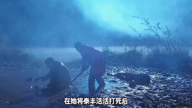 母亲误杀亲子后发现养子才是继承人，命运残酷反转