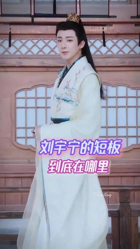 刘宇宁粉丝盛赞偶像实力双栖