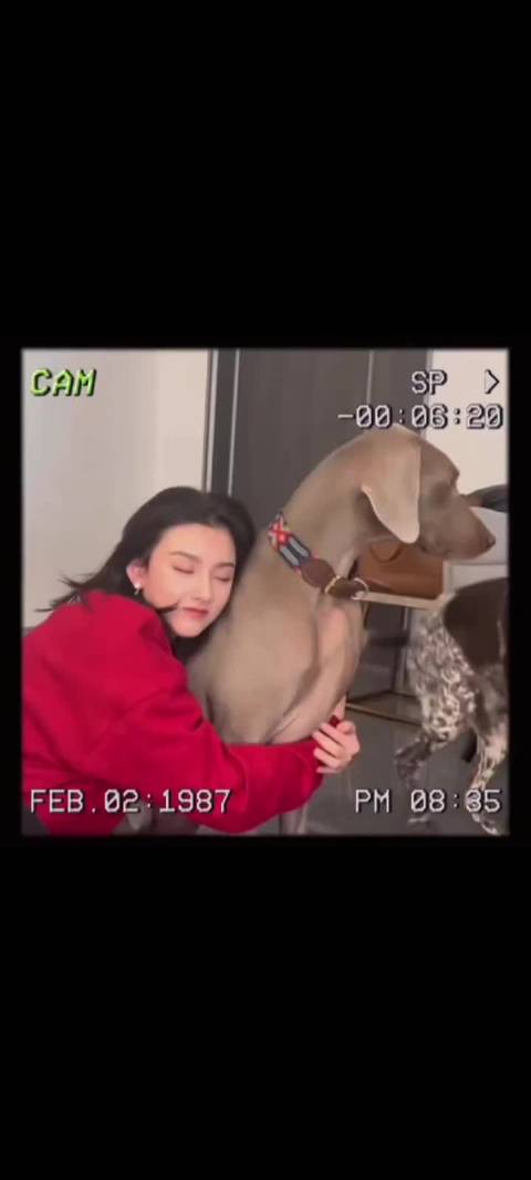 宋祖儿居家分享遭爱犬抢镜，真实互动展现人宠温情