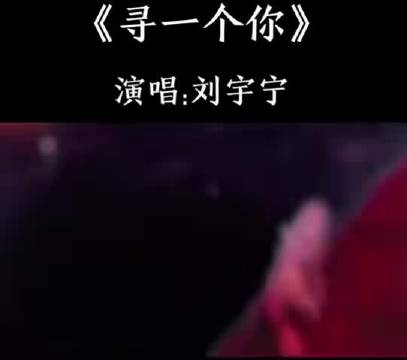 刘宇宁工体献唱苍兰诀主题曲引爆618夏日歌会