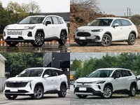 丰田 卡罗拉锐放 2026款 2.0L 先锋版