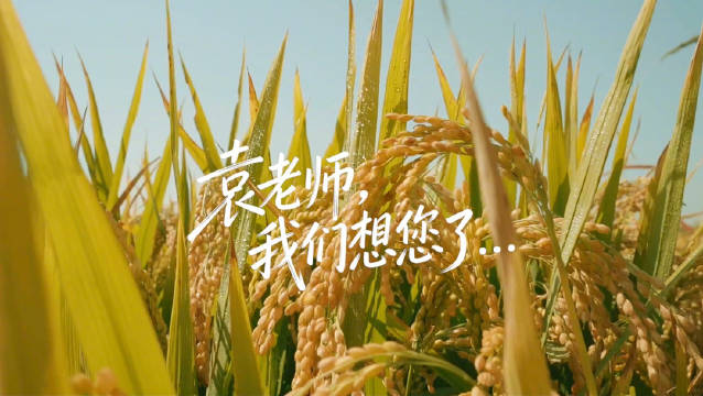 关晓彤李昀锐海岛相遇火花四溅