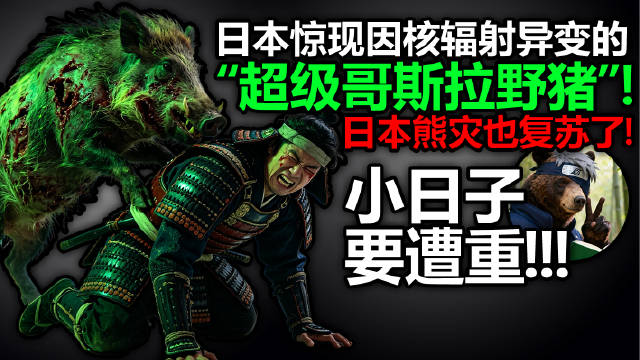 日本惊现因核辐射异变的“超级哥斯拉野猪”！小日子要遭重！