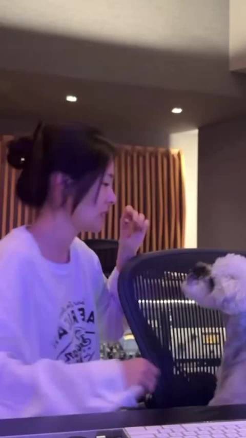 张碧晨六一再唱《小狗乖乖》，网友赞其爱狗如己