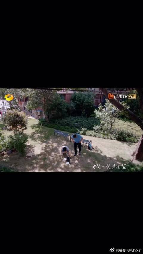 王胜男女士看到妙妙这段应该很欣慰吧