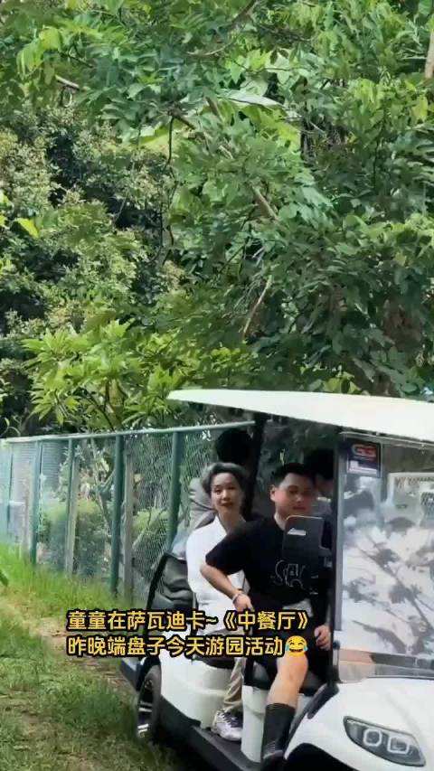 王俊凯黄晓明等清迈动物园游玩,参观亚洲大象