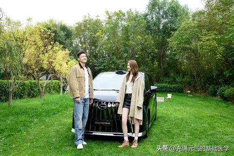 传祺向往M8宗师凭啥是MPV智优选？对比传祺其他车型的4大核心优势