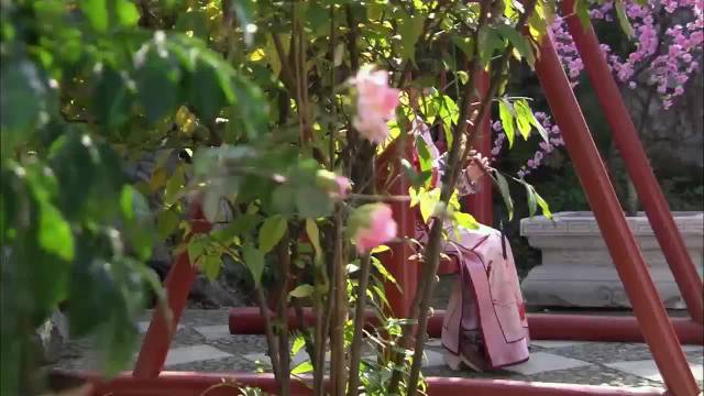 我重生甄嬛，与皇帝相亲｜甄嬛传
