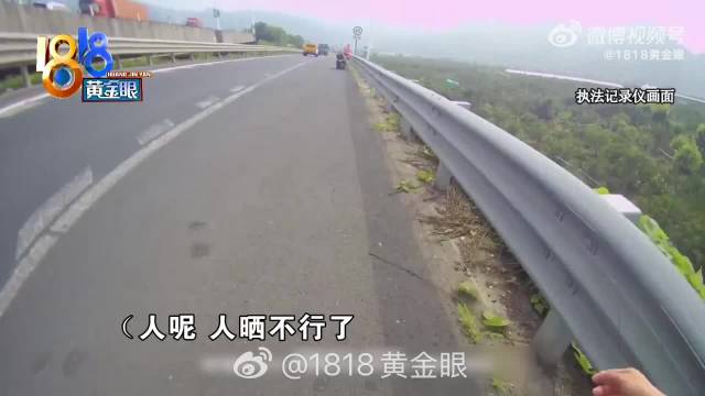 八旬老人爱骑车迷路来到高速口 家属：本来还要开摩托车的
