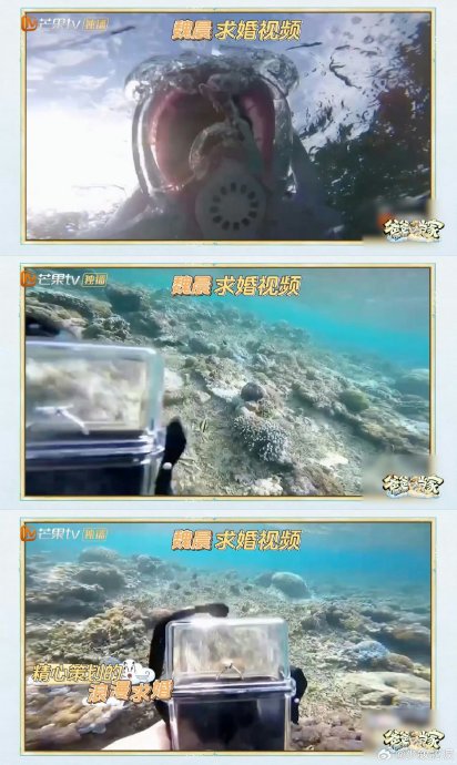 魏晨为了向女友求婚，提前做了哪些准备？