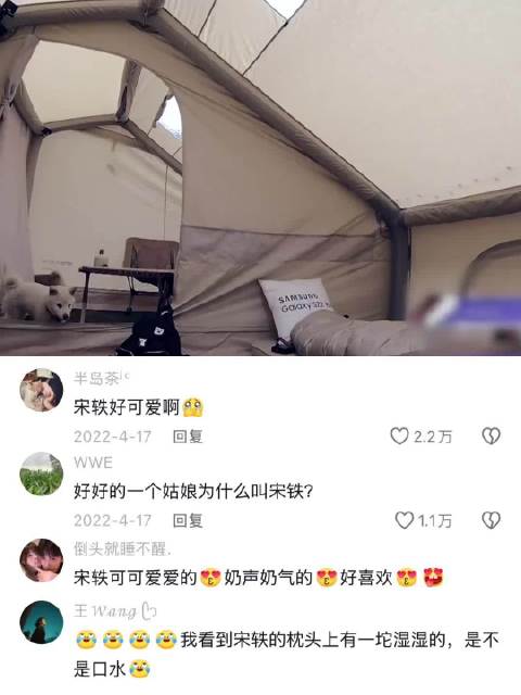 被小动物叫醒，是怎样一种体验