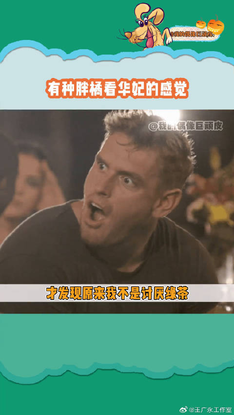 小猫咪怎么还有两幅面孔呢绿茶