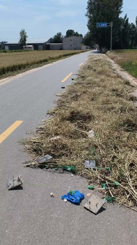 河北村民占道晾晒油菜籽铺设钉板威胁行车安全