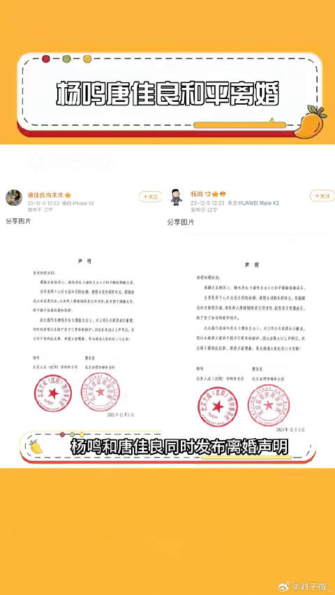 杨鸣唐佳良和平离婚 杨鸣宣布离婚杨鸣唐佳良