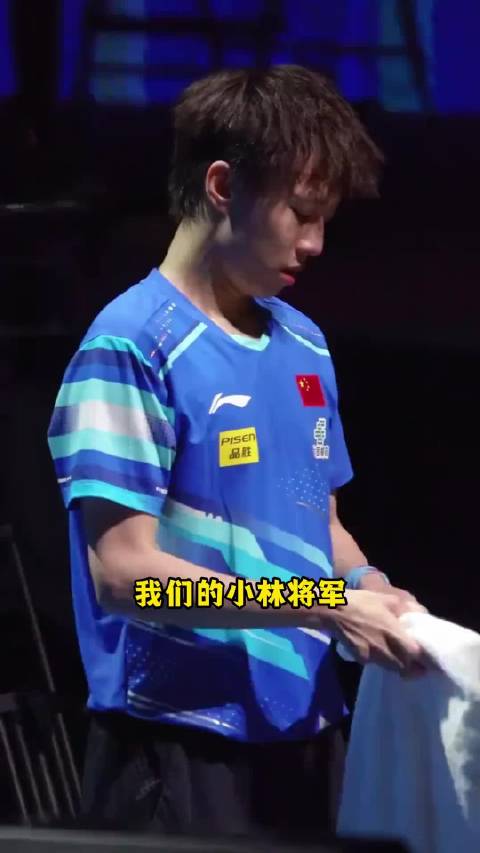 林高远你的高远是志存高远还是山高路远呢 林高远 竞技体育 遗憾 国乒