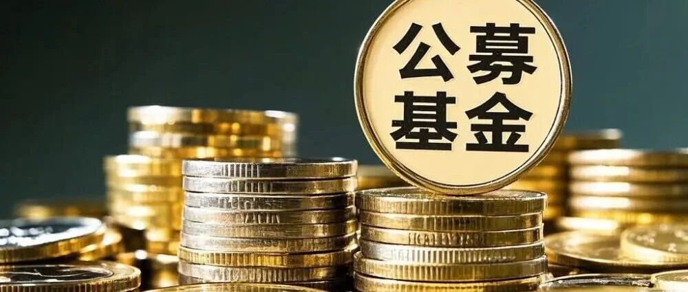首批195只基金同日更新“业绩标尺”！业内人士：引发科技板块下跌不实