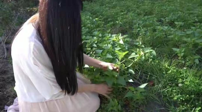 59岁王祖贤农场种菜近照曝光！皮肤白到发光惊艳全网